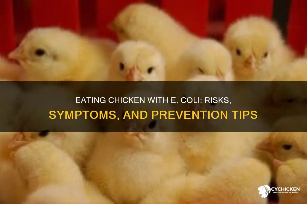 what if you each chicken with ecolie