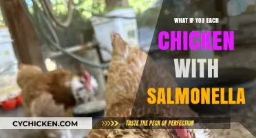 Eating Chicken with Salmonella: Risks, Symptoms, and Prevention Tips