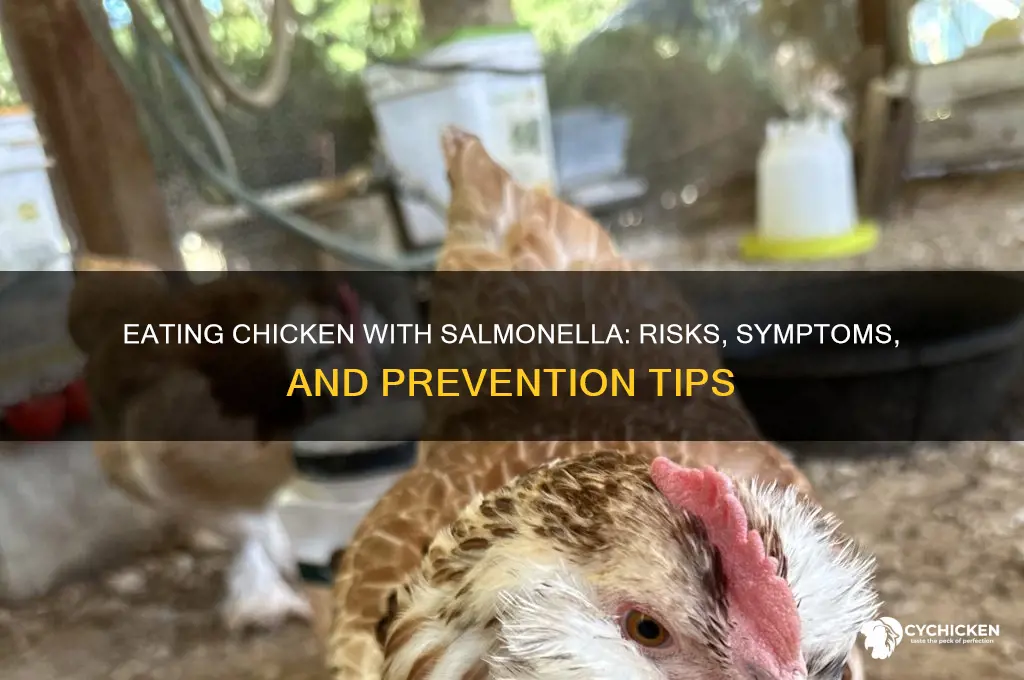 what if you each chicken with salmonella
