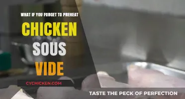 How Forgetting to Preheat Sous Vide Affects Chicken