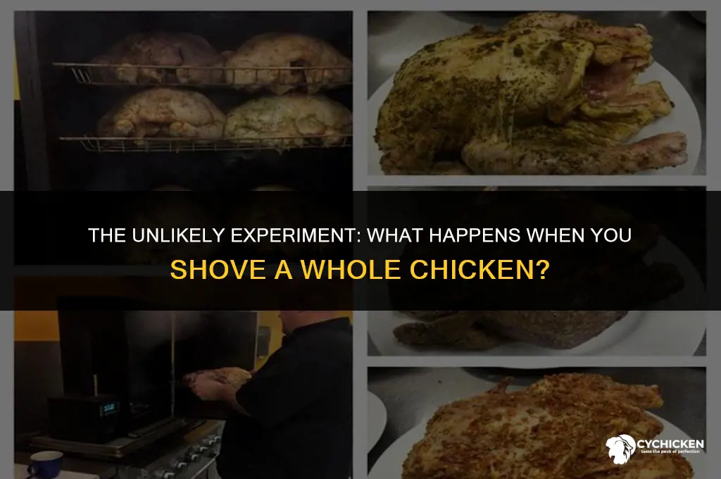 what if you shoved a whole chicken