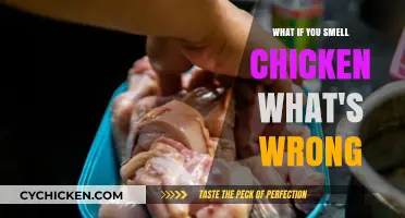 Why Does My Chicken Smell Strange? Possible Causes and Solutions