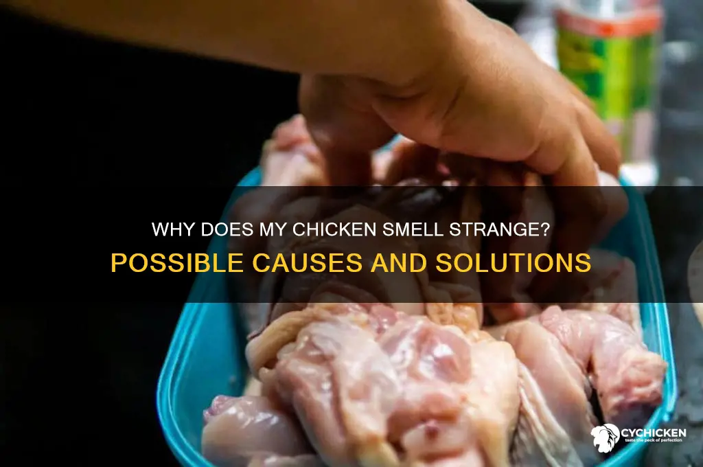 what if you smell chicken what