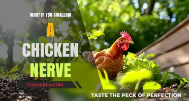 Swallowing a Chicken Nerve: Myths, Facts, and What Really Happens
