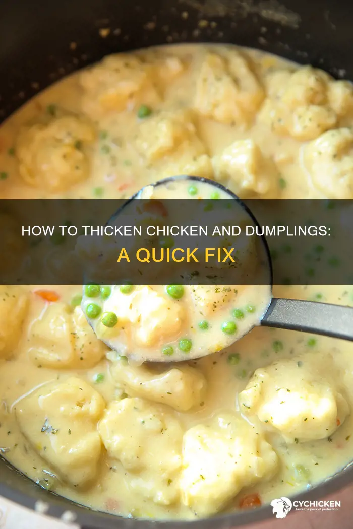 what if your chicken and dumplings is too brothy