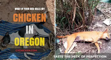 Oregon Chicken Killing: Dog Owner's Liability