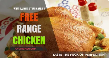 Where to Buy Free-Range Chicken in Illinois: Top Store Picks