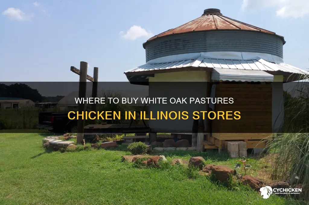 what illinois store carries white oak pastures chicken