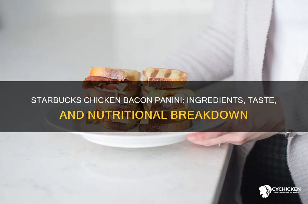 what in a chicken bacon panini starbucks