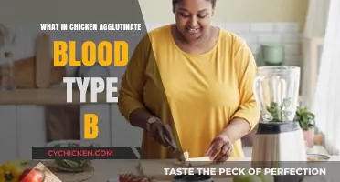 Chicken and Blood Type B: Understanding the Agglutination Connection