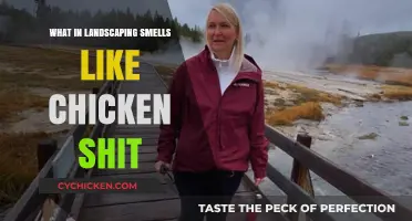 Uncovering the Foul Odor: Landscaping Culprits That Smell Like Chicken Manure