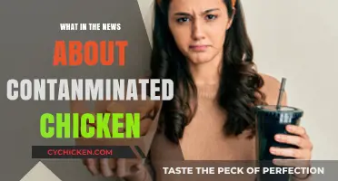Contaminated Chicken Alert: Latest News on Health Risks and Recalls