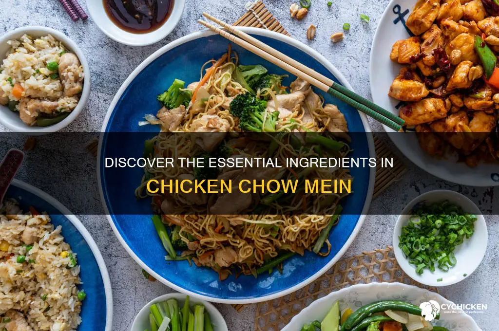 what ingrediants are in chicken chou mein