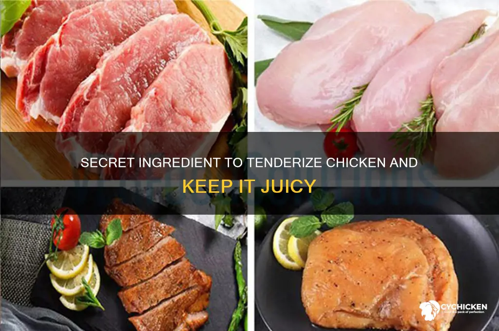what ingredient tenderizes chicken keeps it juicy
