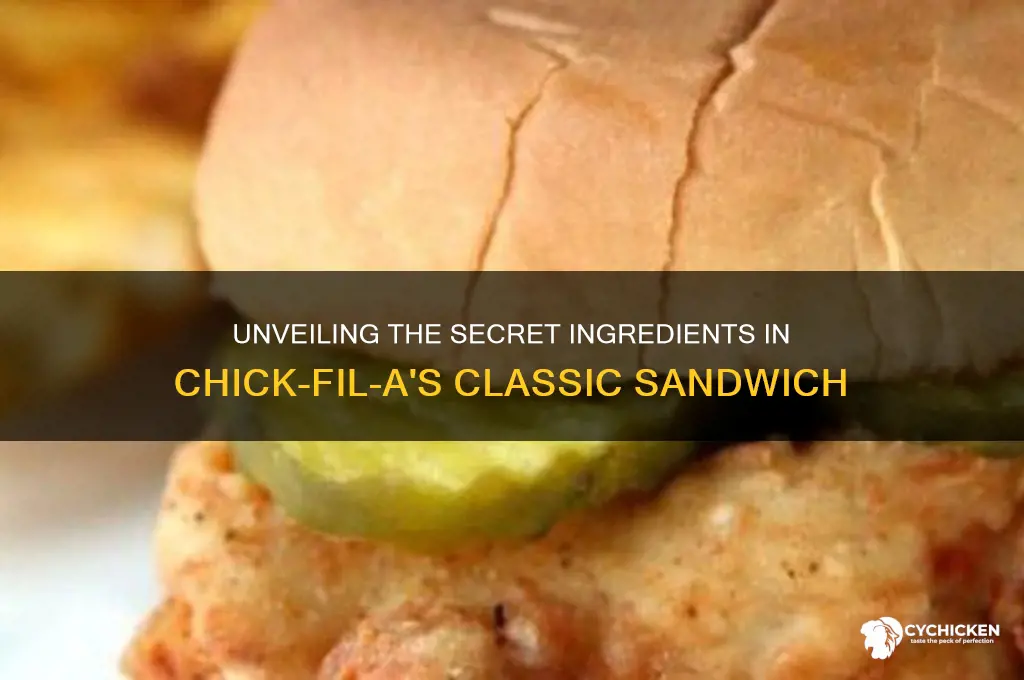 what ingredients are in a chick fil a sandwich