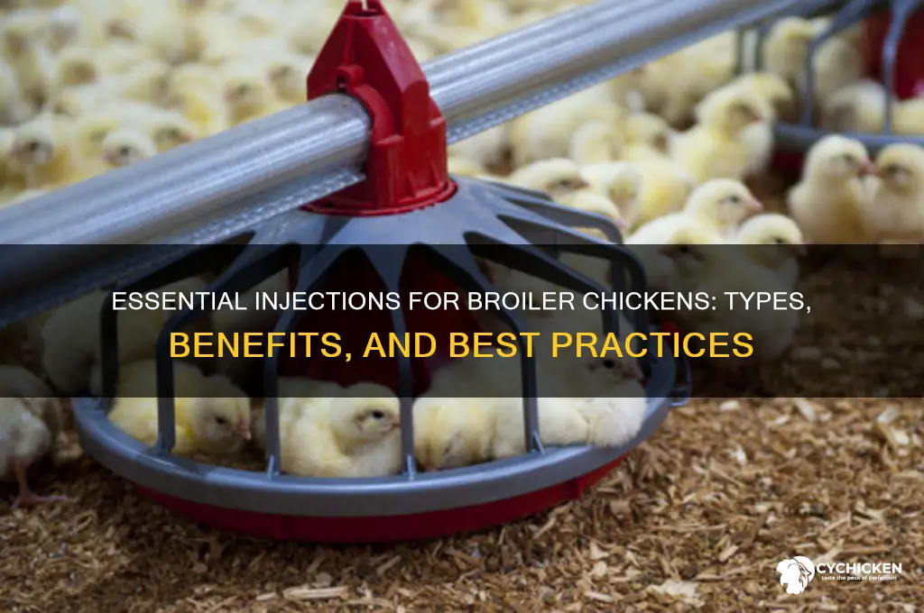 what injection is given to broiler chicken