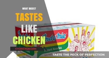 Insects That Taste Like Chicken: Surprising Culinary Discoveries