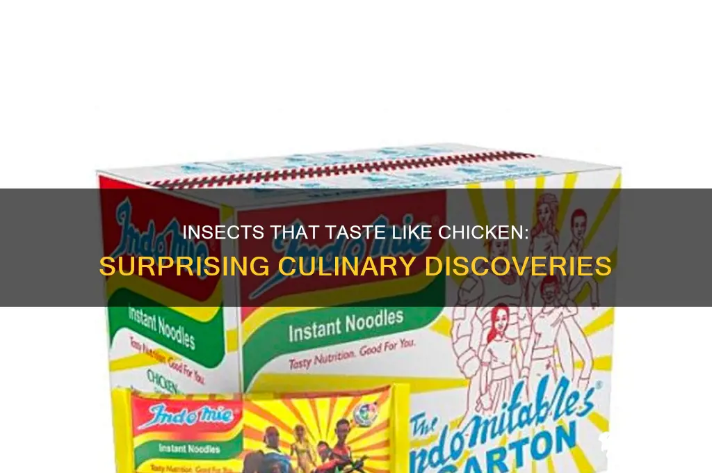 what insect tastes like chicken