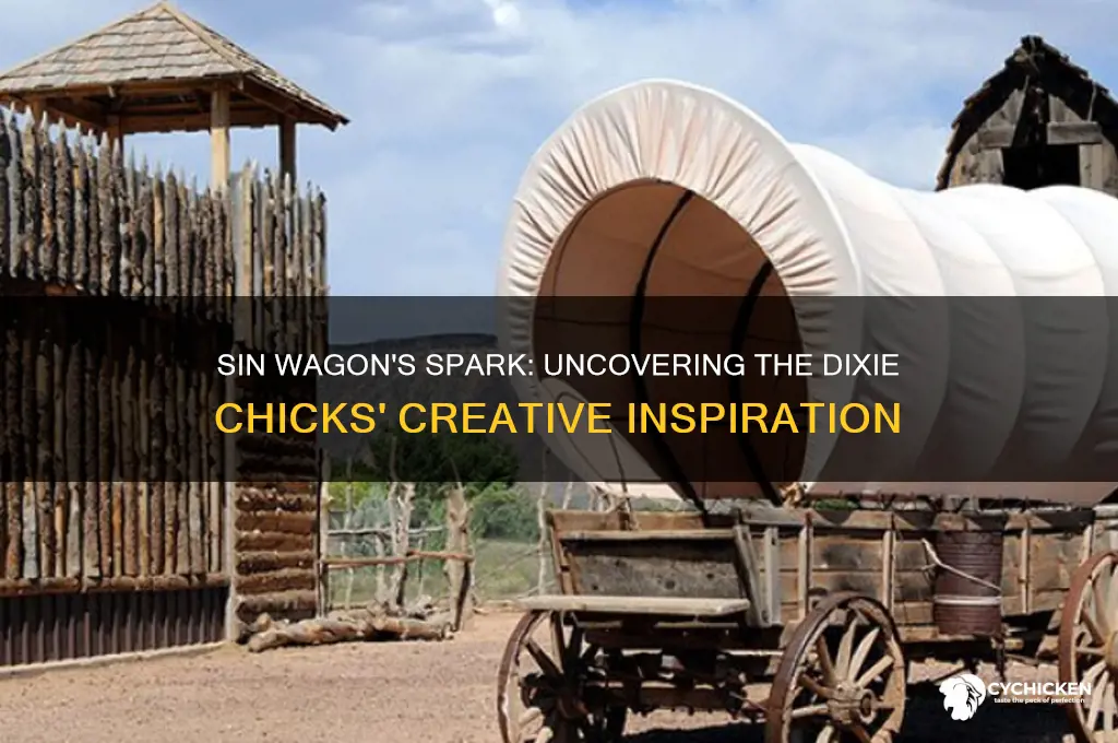 what inspired the dixie chicks song sin wagon