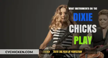 Dixie Chicks' Musical Mastery: Instruments Behind Their Iconic Sound