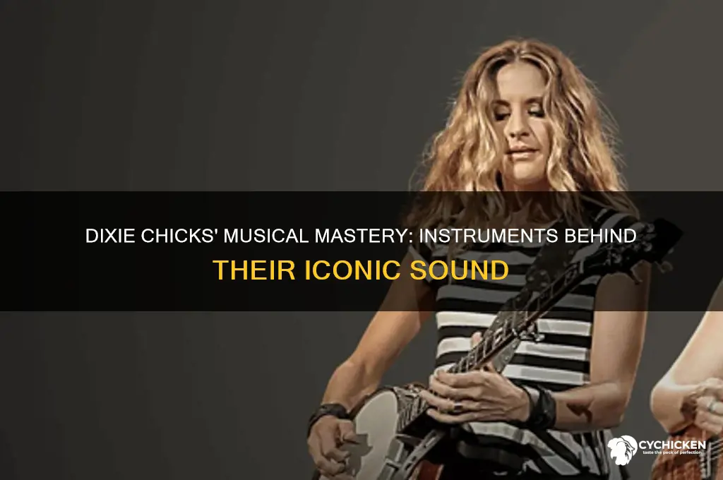 what instruments do the dixie chicks play