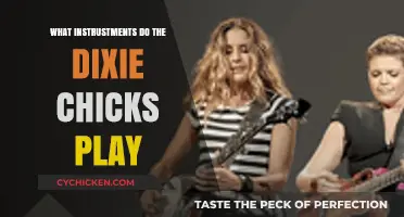 Discover the Instruments Behind the Dixie Chicks' Signature Sound