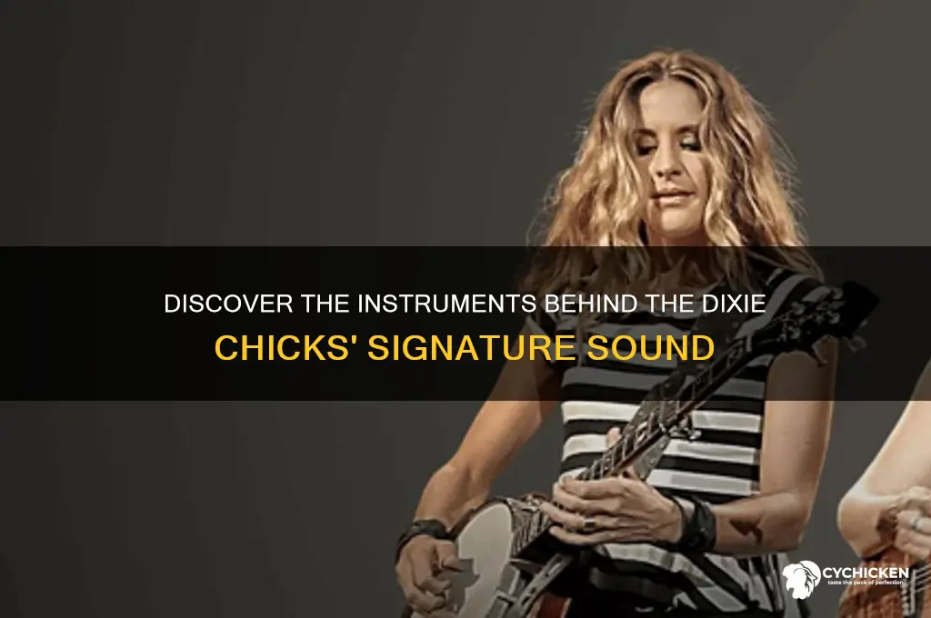 what instrustments do the dixie chicks play