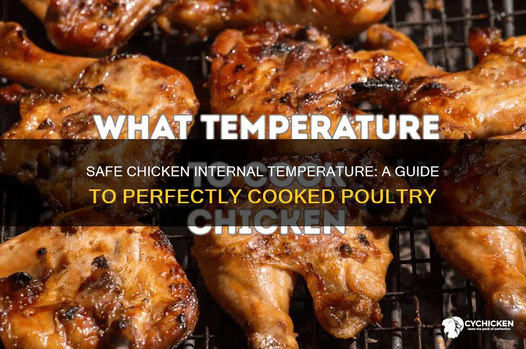 what internal temp is safe for chicken