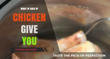 What IP Does IP Chicken Provide? Unveiling the Truth Behind the Service