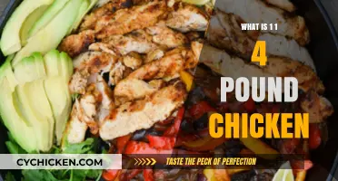 Understanding 1 1/4 Pound Chicken: Uses, Recipes, and Cooking Tips