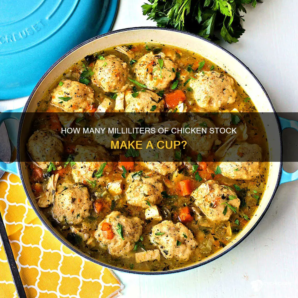 what is 1 cup of chicken stock in ml