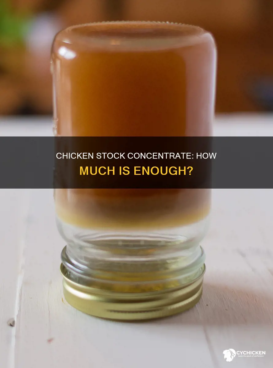 what is 1 unit of chicken stock concentrate hellofresh