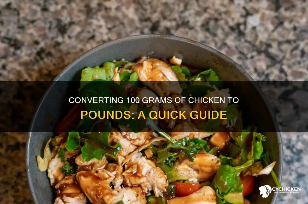 what is 100 g chicken is pounds