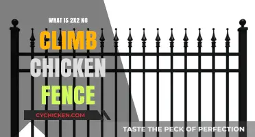 Understanding 2x2 No Climb Chicken Fence: Benefits and Installation Tips