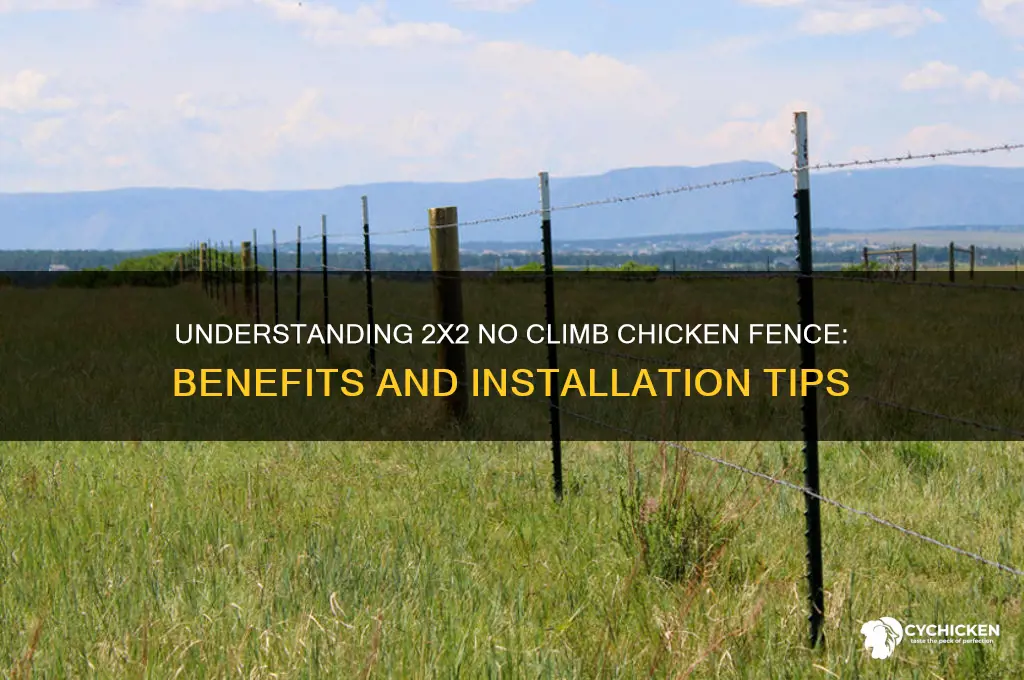 what is 2x2 no climb chicken fence