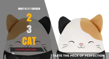 Decoding the Viral Phrase: 3 7 Chicken 2 3 Cat Explained