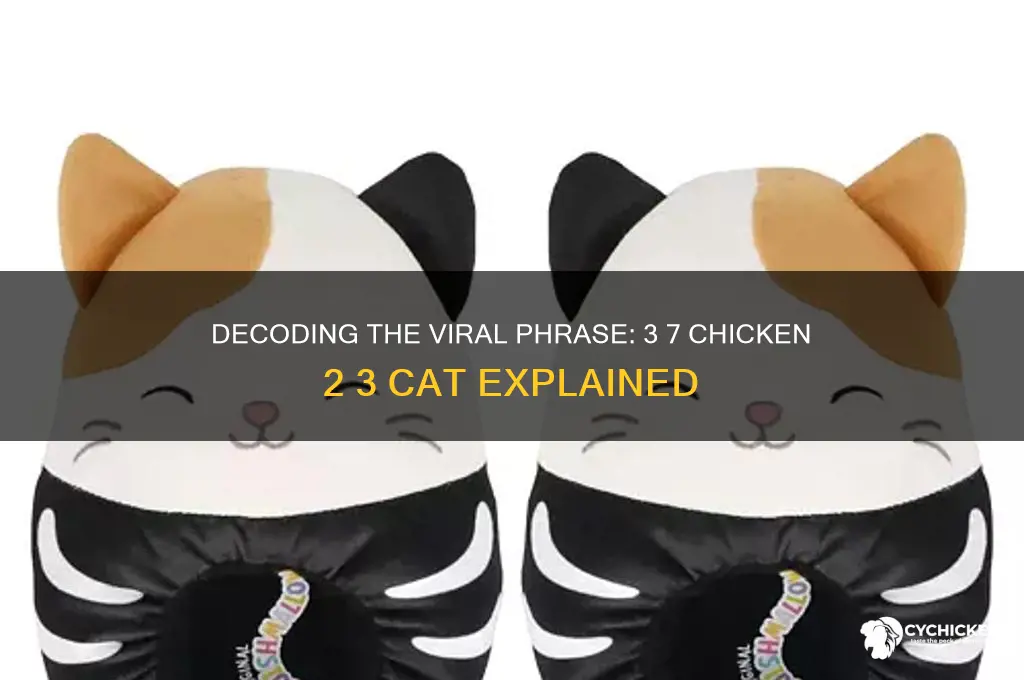 what is 3 7 chicken 2 3 cat