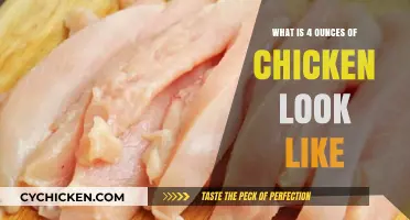 Visual Guide: Understanding the Size of 4 Ounces of Chicken