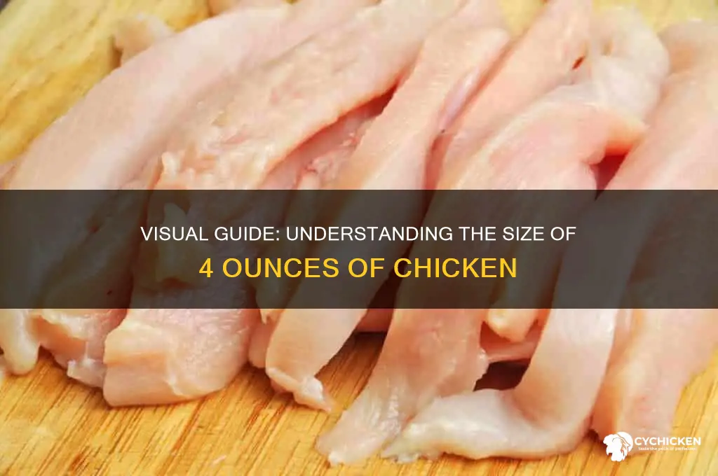 what is 4 ounces of chicken look like
