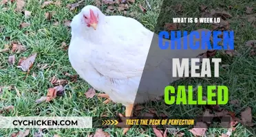 Understanding 6-Week Broiler Chicken Meat: Names and Culinary Uses