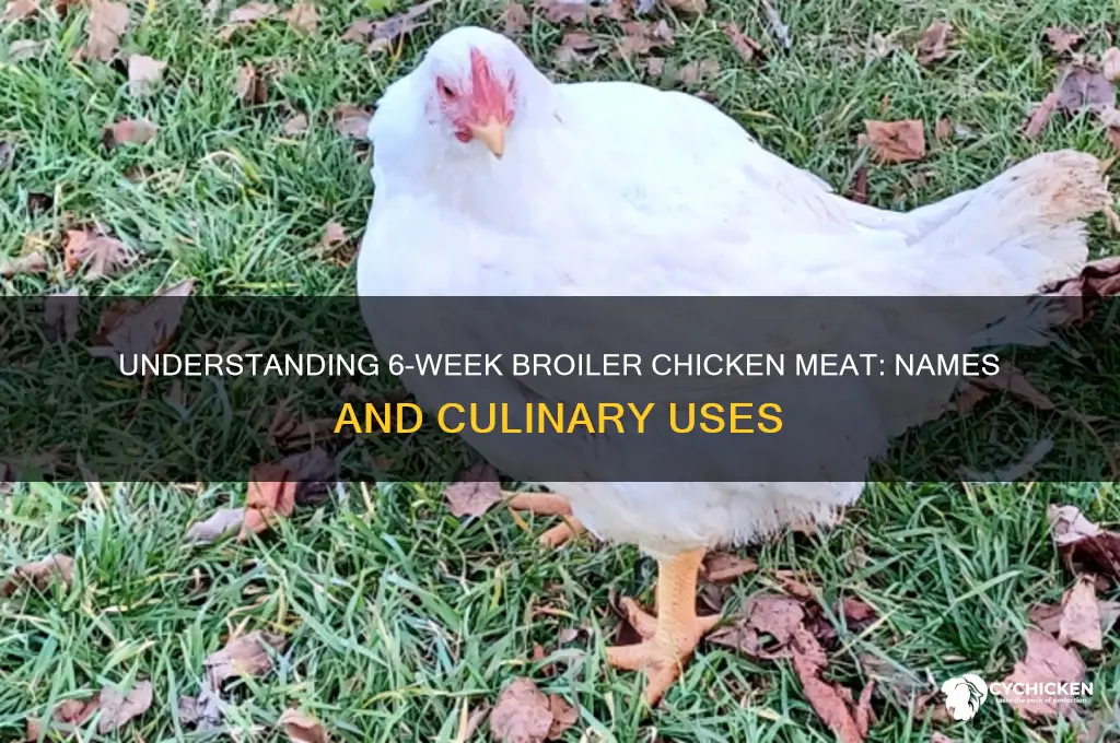 what is 6 week ld chicken meat called