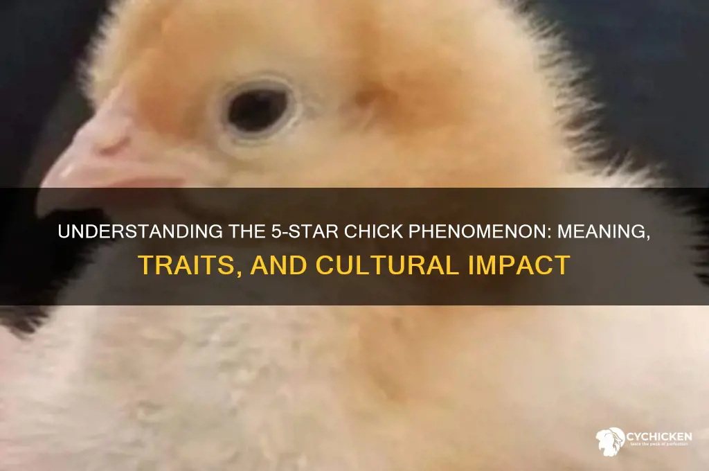 what is a 5 star chick mean