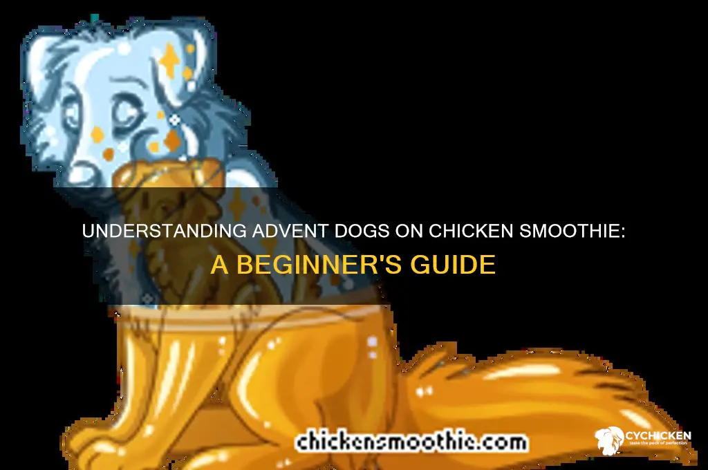 what is a advent dog on chicken smoothie