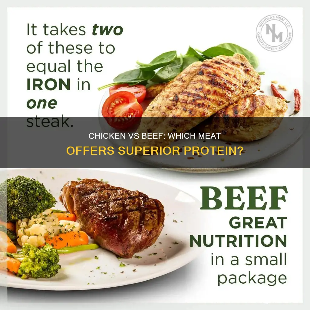 what is a better source of protein chicken or beef