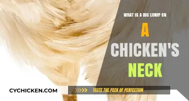 Strange Lump on Your Chicken's Neck: What Could It Be?