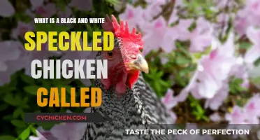 Spotted Chicken: What's in a Name?