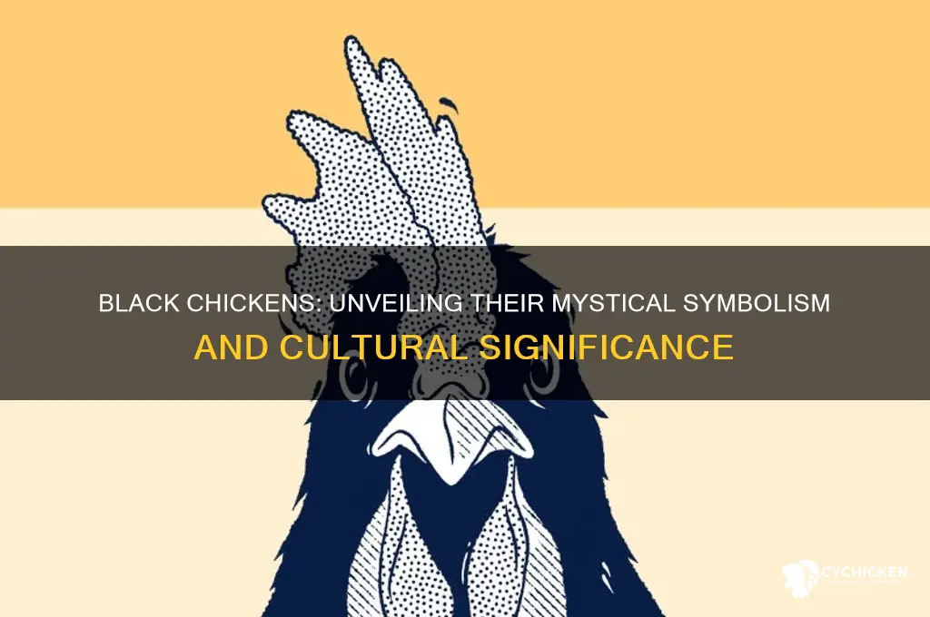 what is a black chicken a sign of