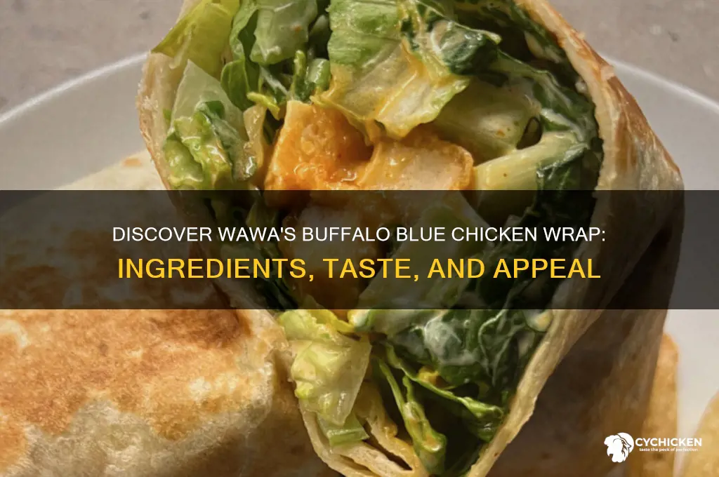 what is a buffalo blue chicken wrap wawa