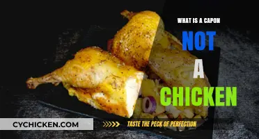 Capon vs. Chicken: Unraveling the Culinary Mystery and Key Differences