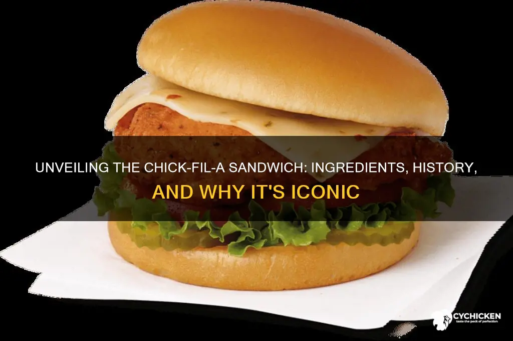 what is a chick fil a sandwich